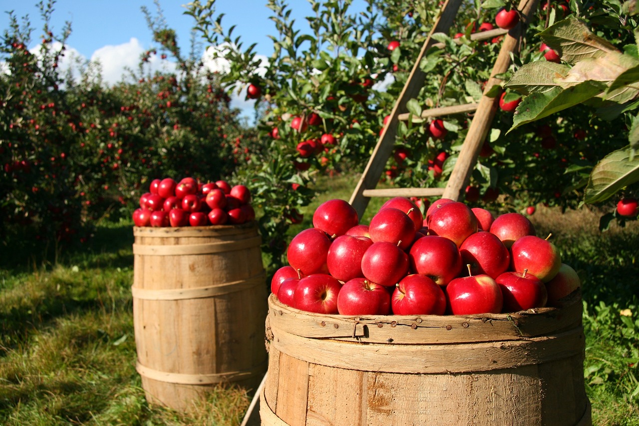 Take a Trip to the Farm: Fun Agricultural Crafts for Kids